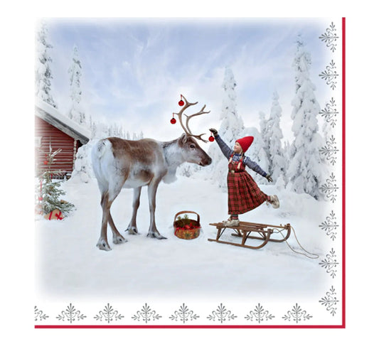 Christmas Dream Napkins