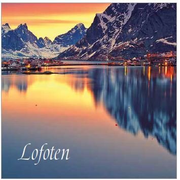 Lofoten Napkins